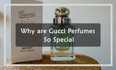 Why are Gucci Perfumes So Special? - Scents Event